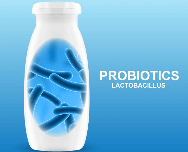 Foods for Gut Health